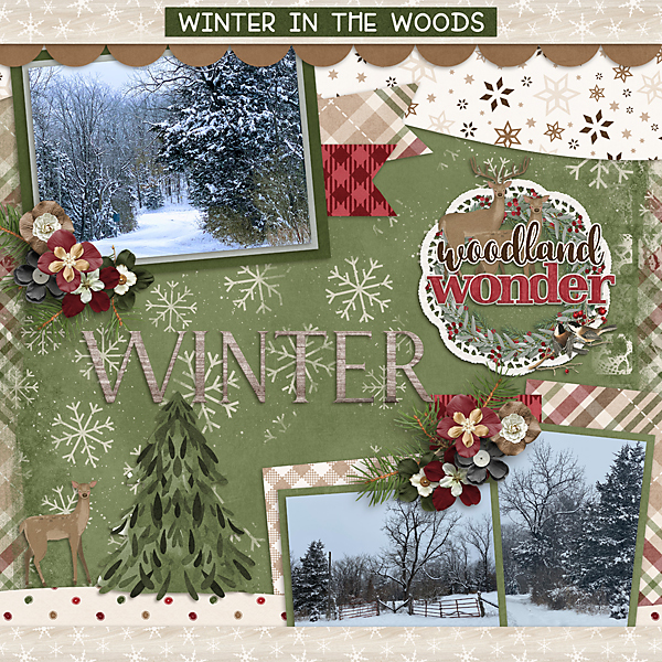 Winter Woods