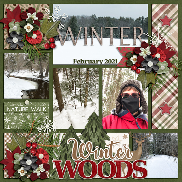 Winter Woods