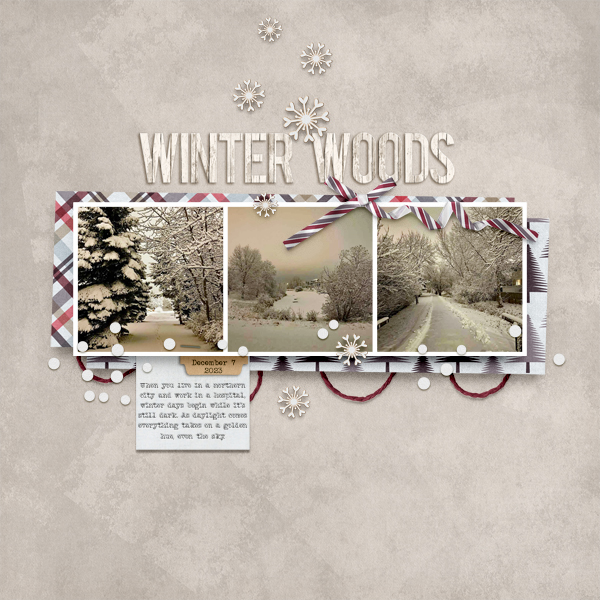 Winter Woods