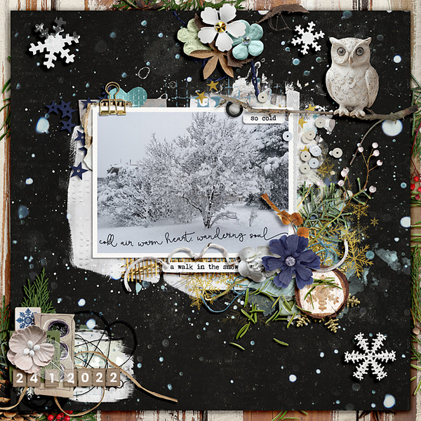 Winter Woods