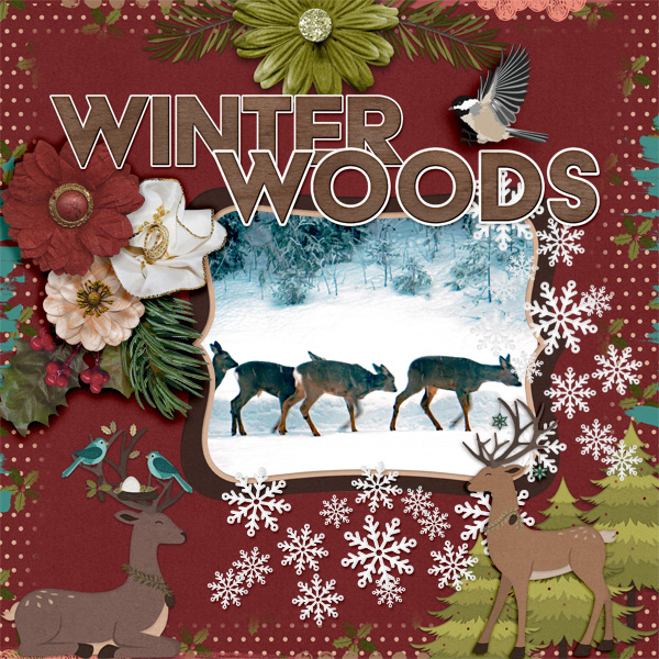 Winter-woods1