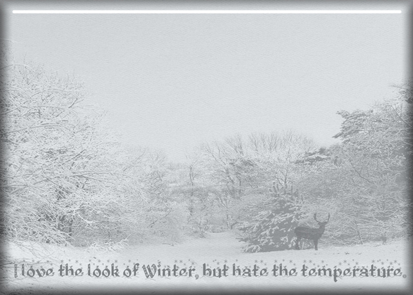 Winter