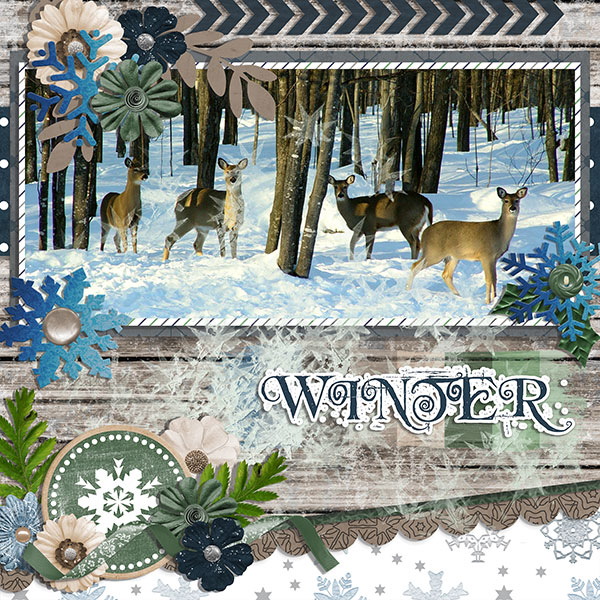 winter