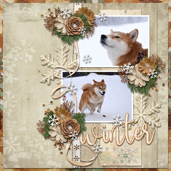 Winter