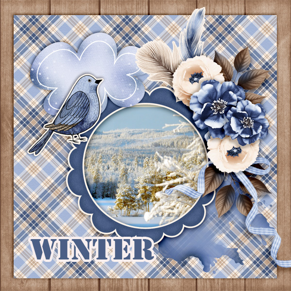 Winter114
