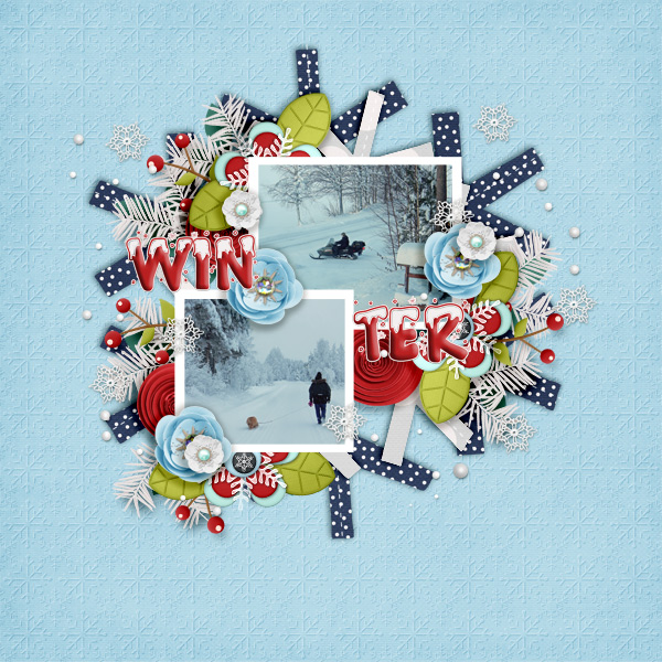 Winter41