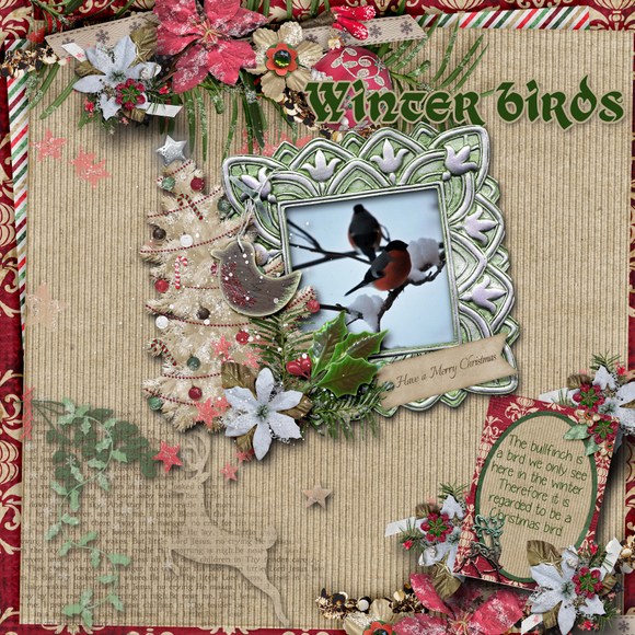 Winter_birds1