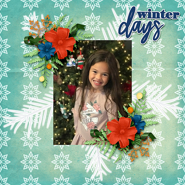 Winter_Days_Gallery_Size