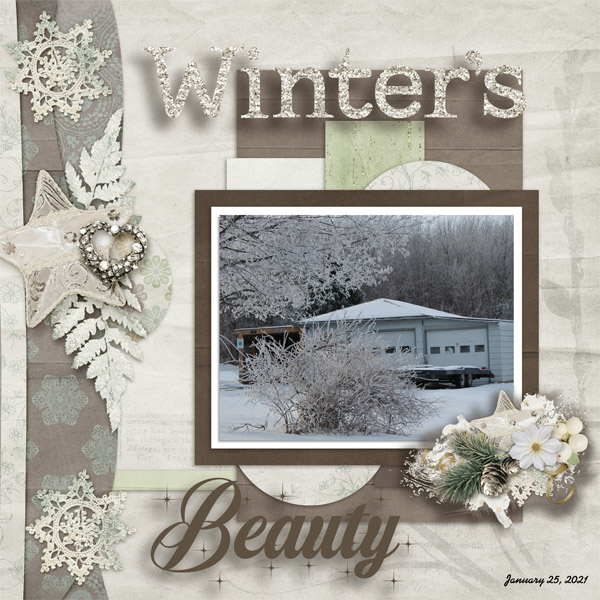 Winter_s_Beauty