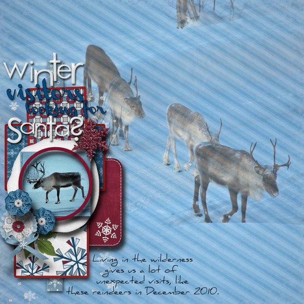 Winter_visitors