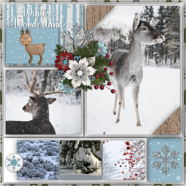 Winter_wonderland19