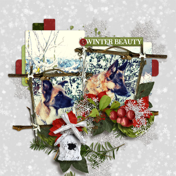 WinterBeauty