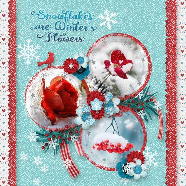 Winterberry Frost