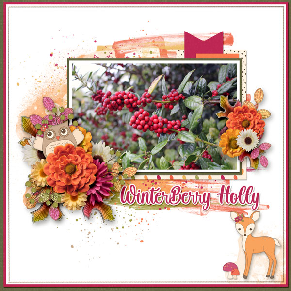 Winterberry Holly