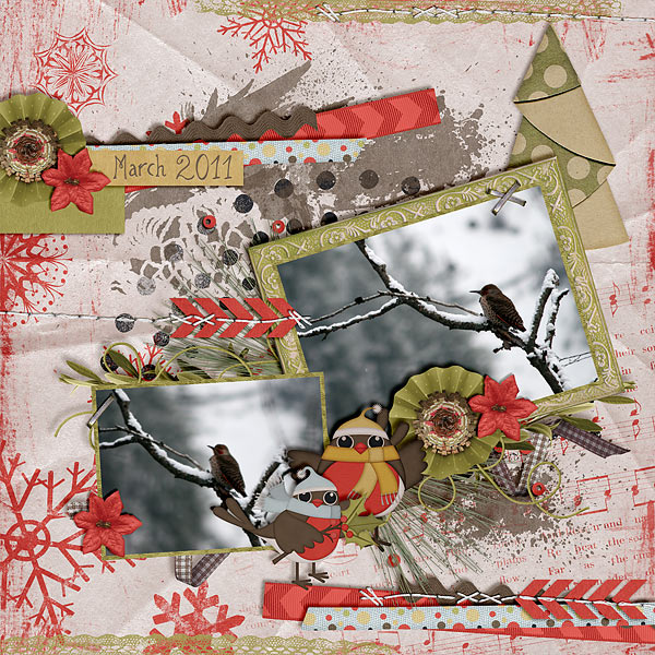 WinterBirds_KSSongbirdsOfTheSeason_fdd_FBee70