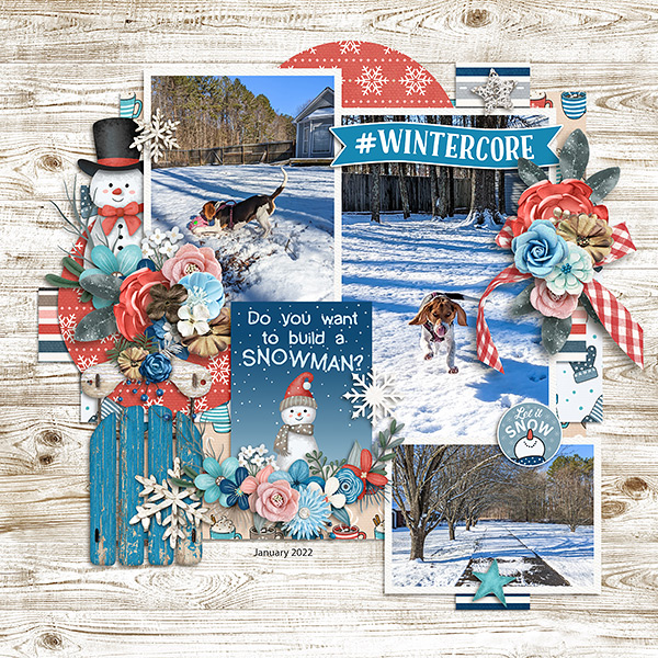 Wintercore
