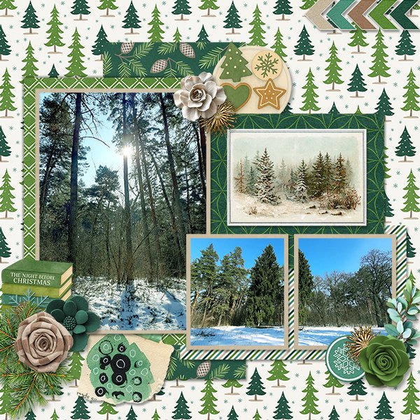 WinterForest_ollitko_600.jpg