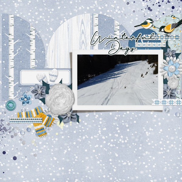 Winterful days