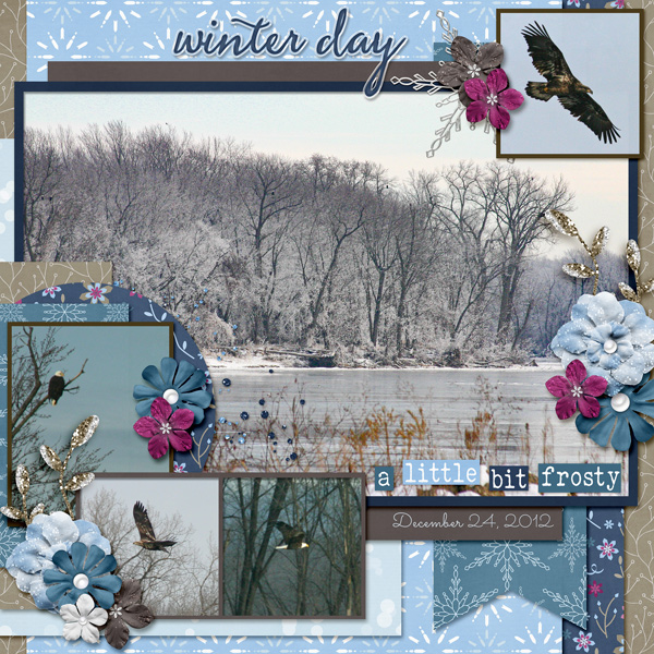 Wintering Eagles
