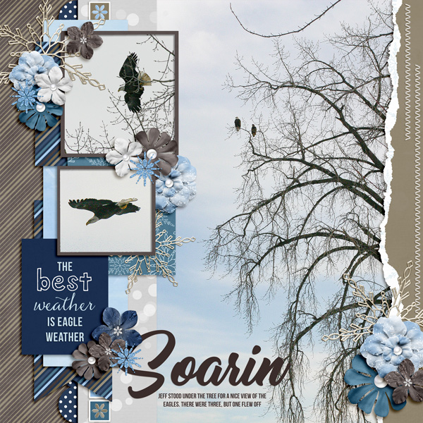 Wintering Eagles