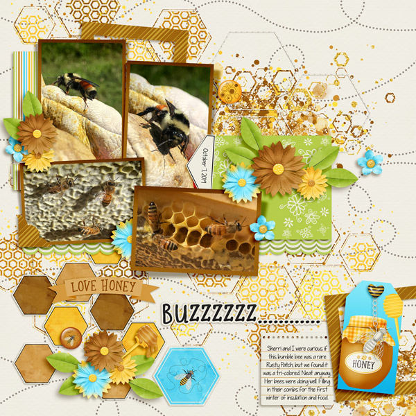 Winterizing the hive