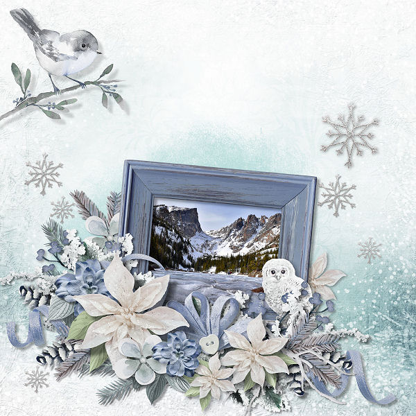 Winterland Collection by Ilonka