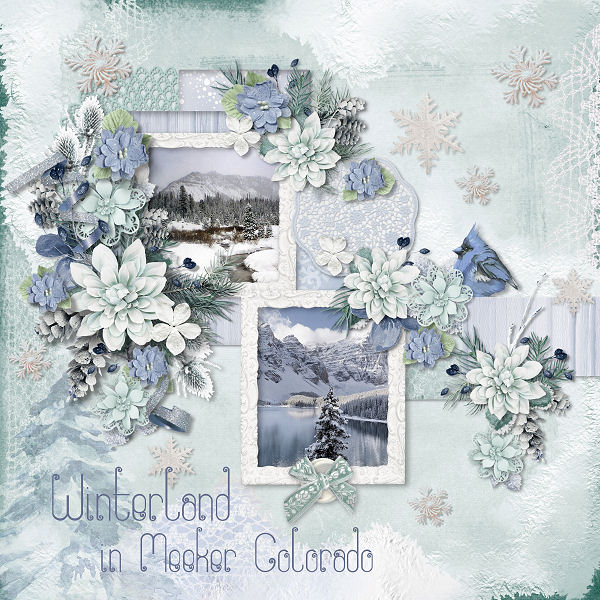 Winterland Collection by Ilonka