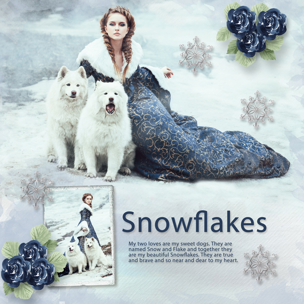 Winterland too