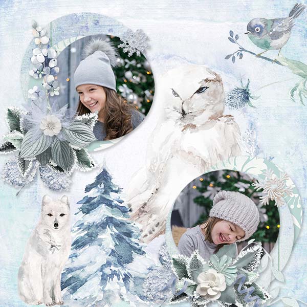 Winterland