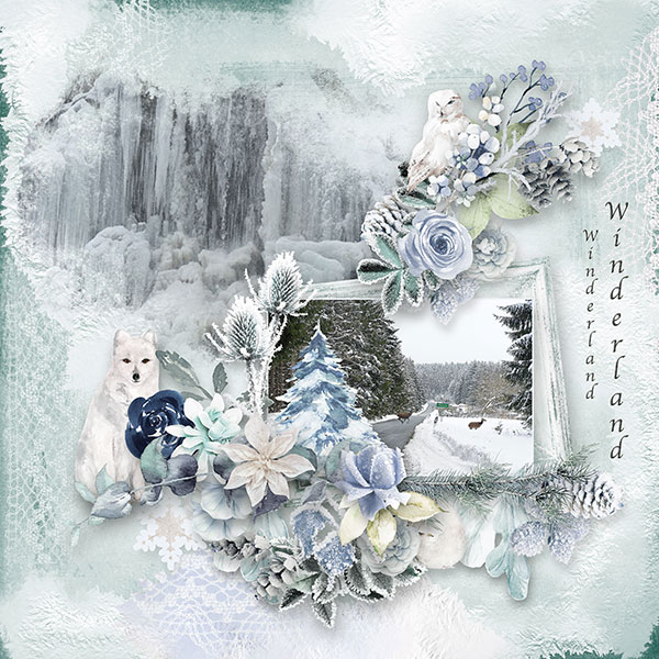 Winterland1