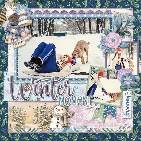 WinterMoment_ollitko_600.jpg