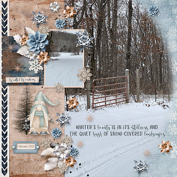 Winter's Beauty