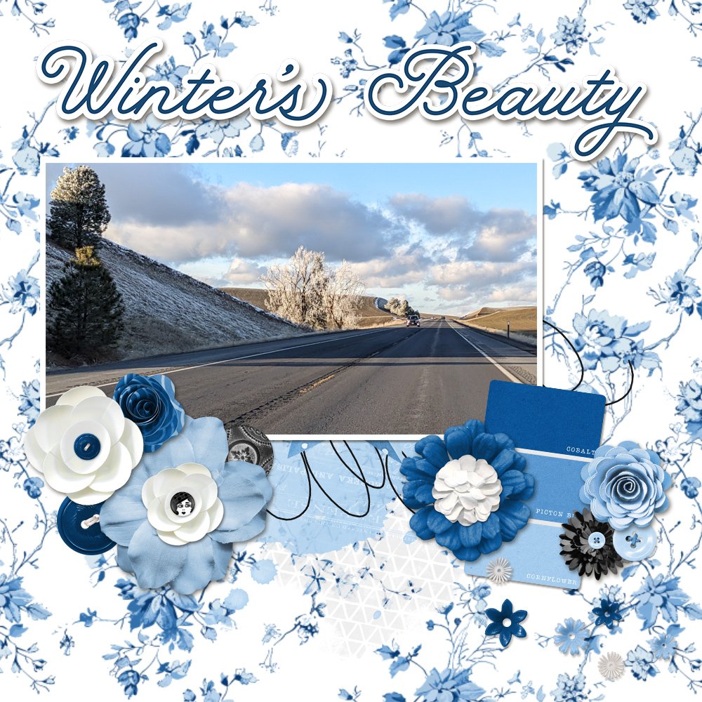 Winter's Beauty