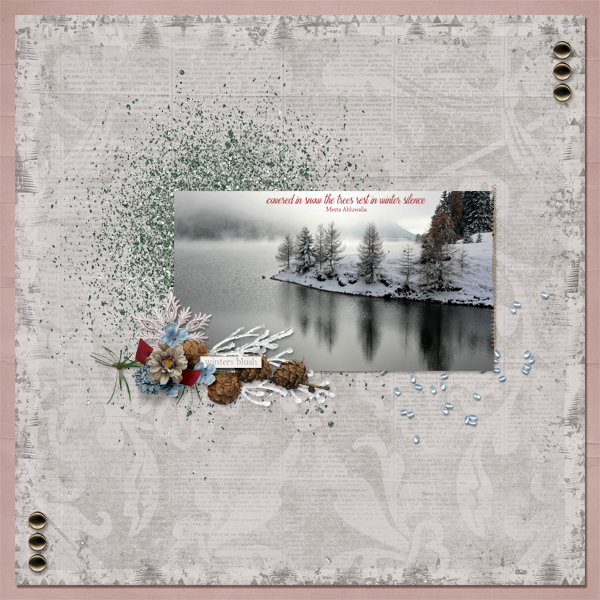 Winter's Blush