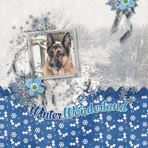 WinterWonderlandBoy