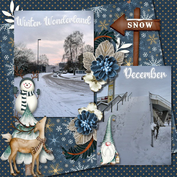 winterwonderworld