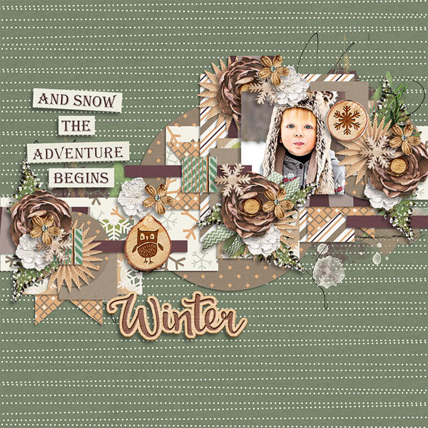 winterwoodland-S771
