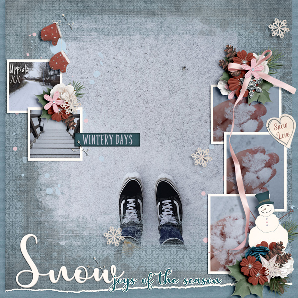 Wintery Days 2020