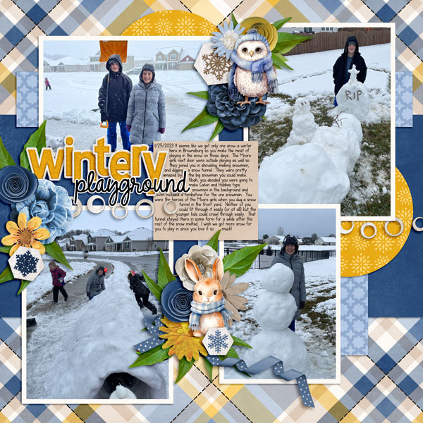 Wintery Playground