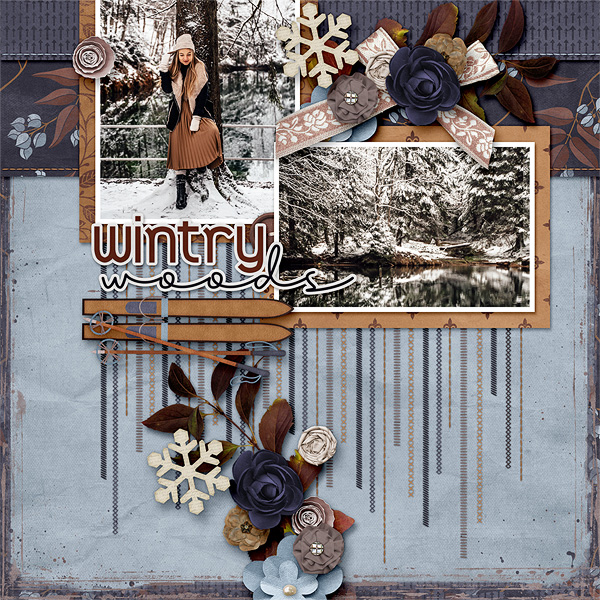Wintery Woods