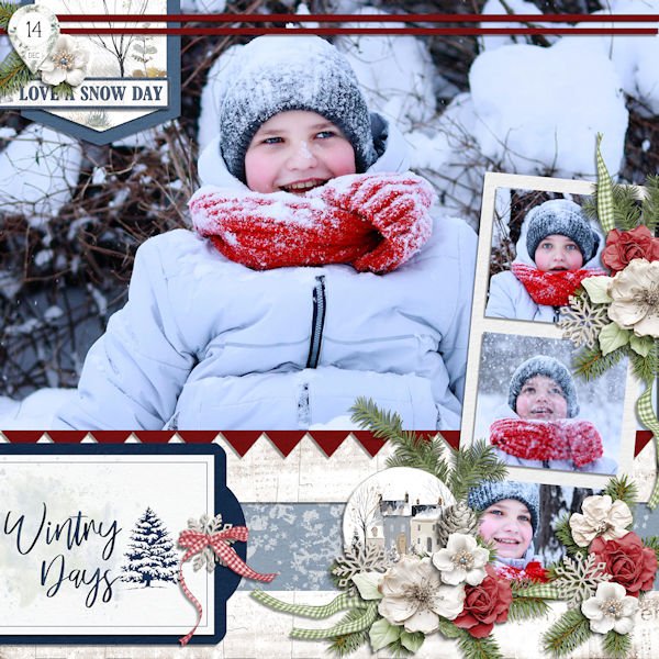 Wintry Days