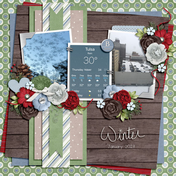 Wintry Weather 1.2019