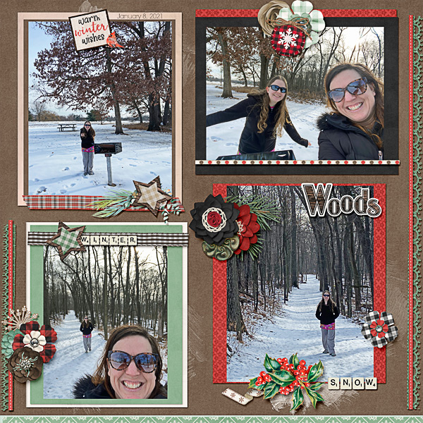 Wintry Woods