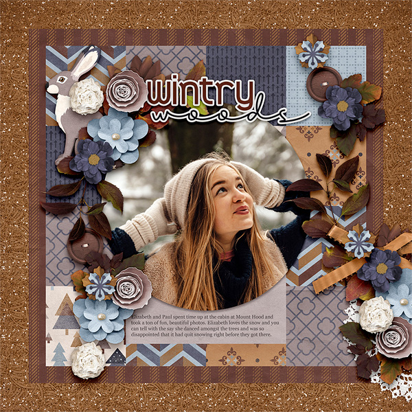 Wintry Woods