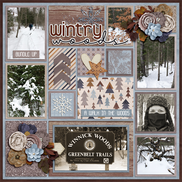 Wintry Woods