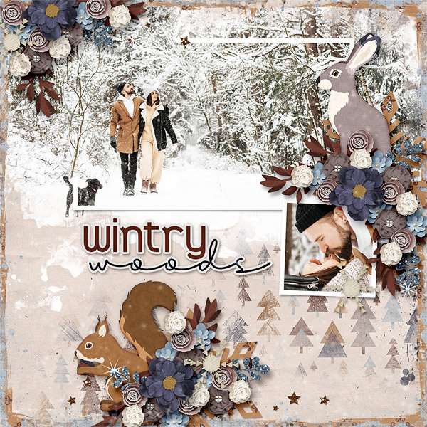 Wintry Woods