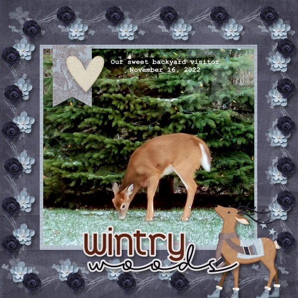 Wintry Woods
