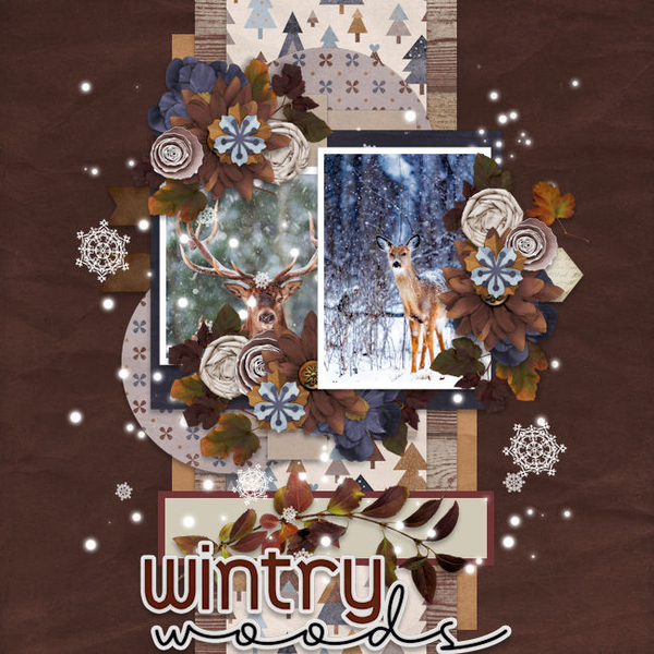 Wintry Woods
