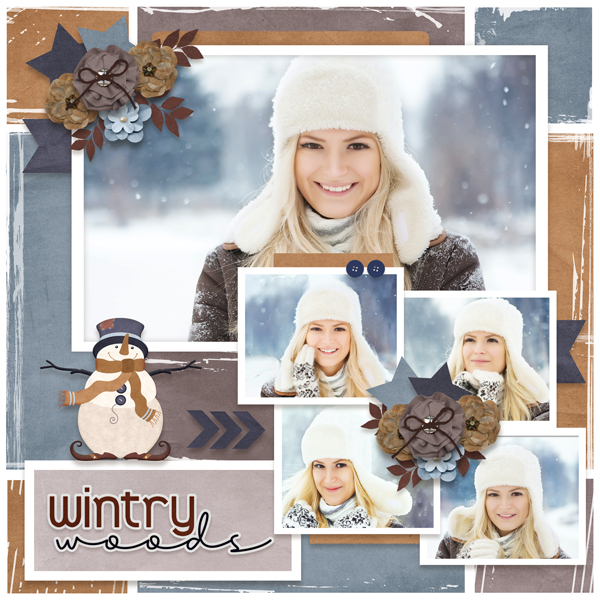 Wintry woods