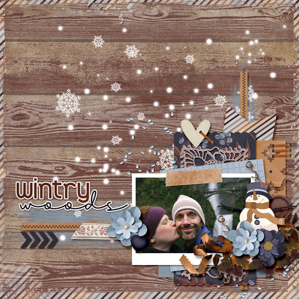 Wintry Woods